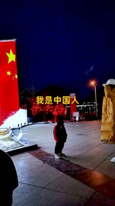 怎么追双鱼座游戏画面